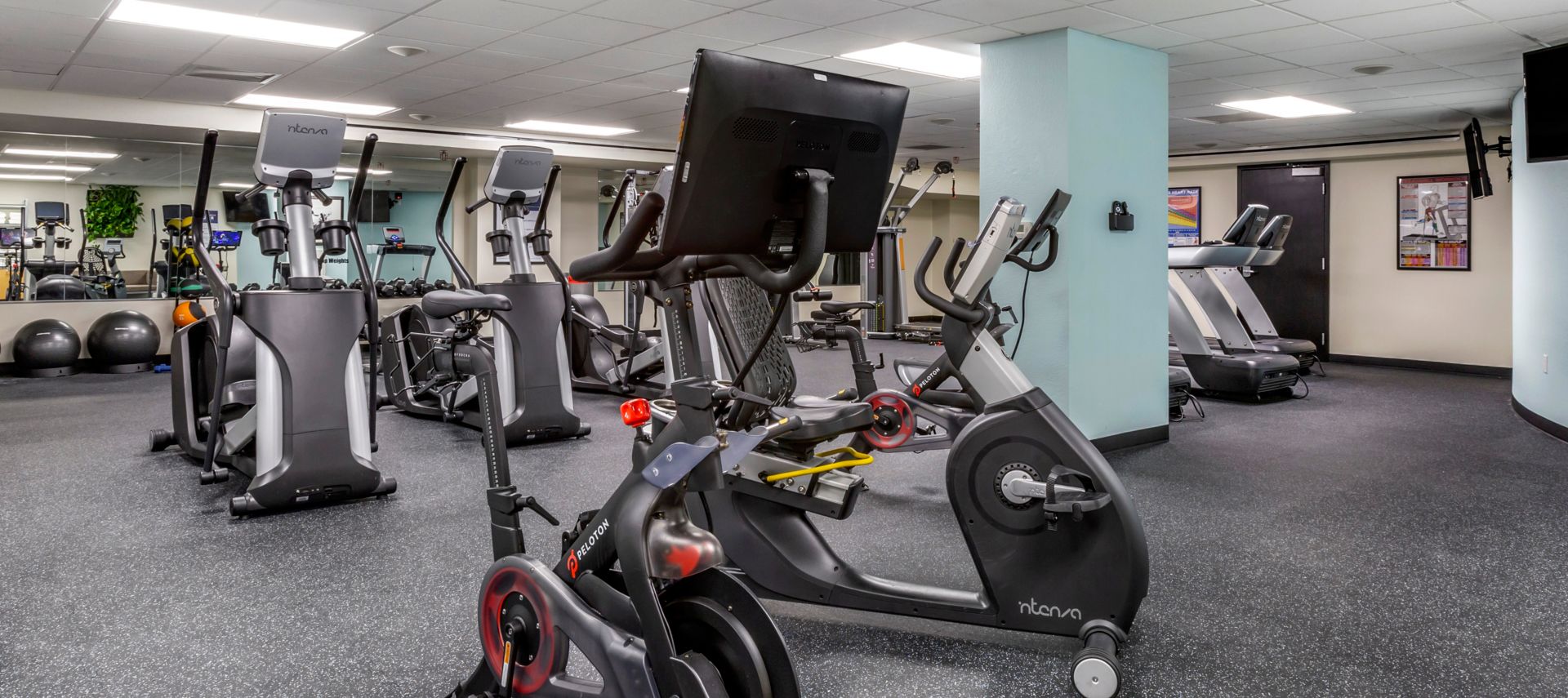 C36-bluegreen-club-36-fitness