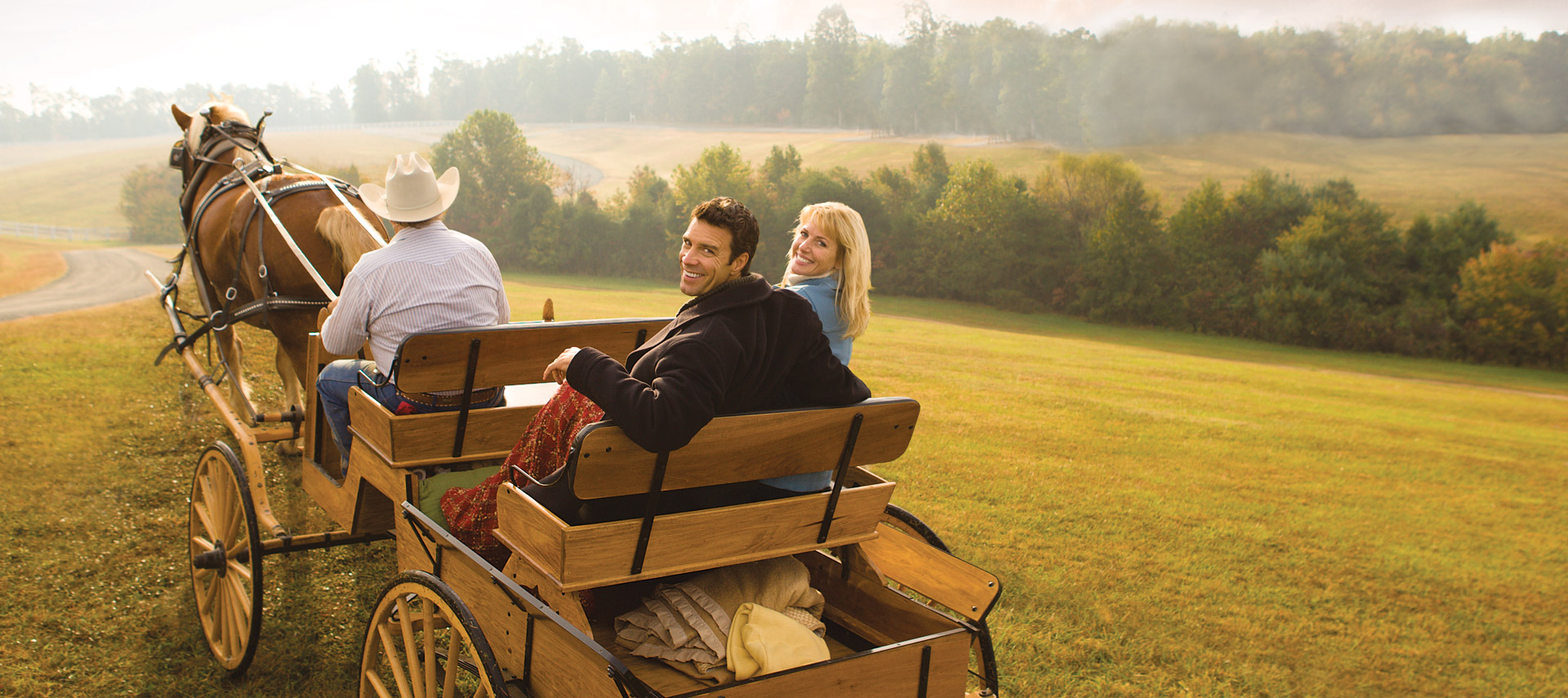 shenandoah-horse-carriage